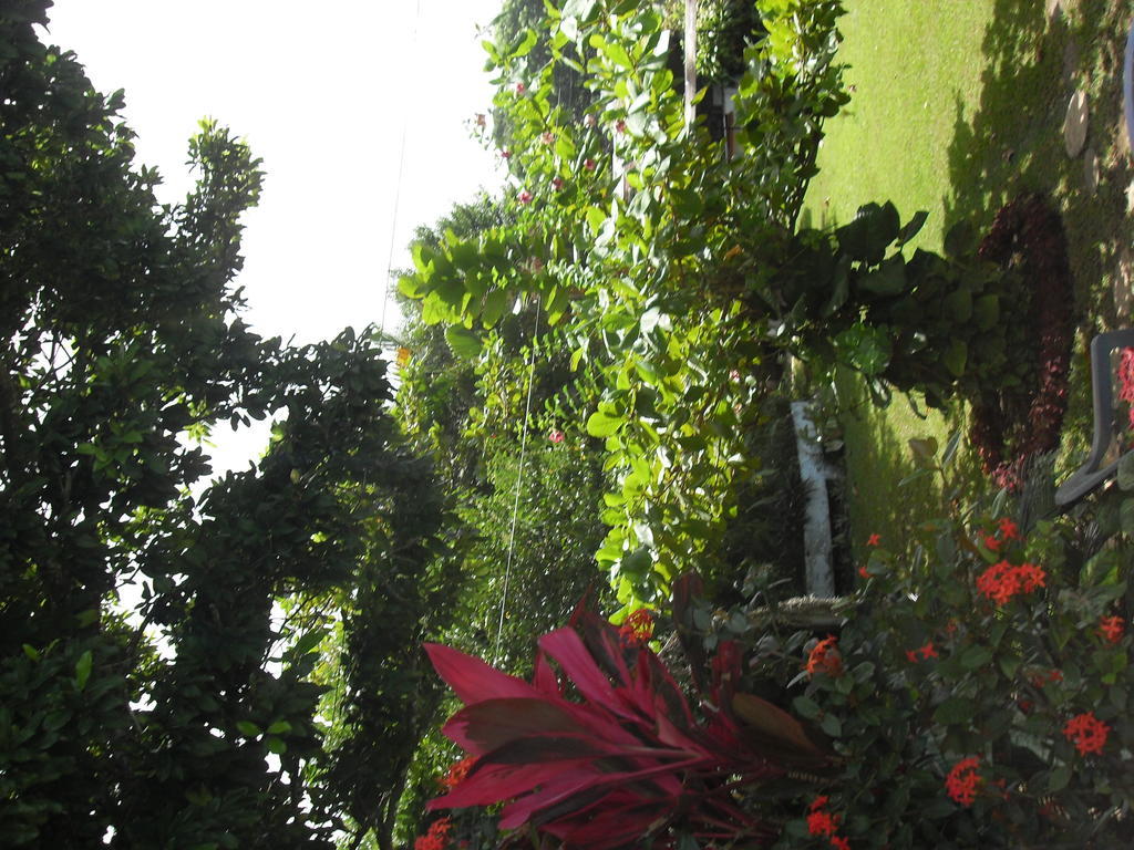 Hotel Posada Koniapan Catemaco Kültér fotó